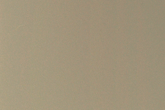 Metallic Champagne