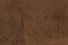 Ultragloss Copperleaf