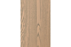 Sand Dune